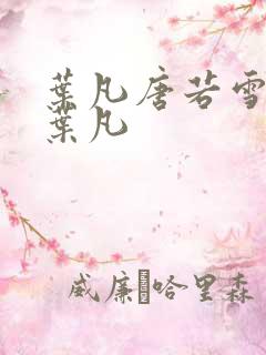 叶凡唐若雪医婿叶凡