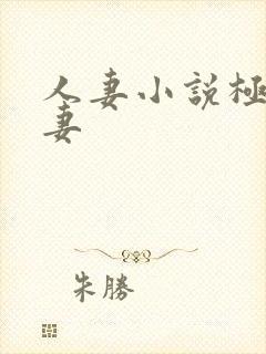 人妻小说极品人妻