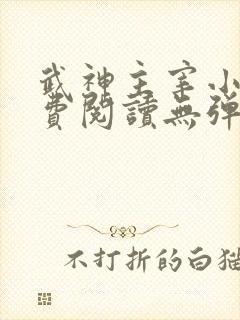 武神主宰小说免费阅读无弹窗