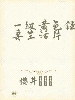 一级黄色录像夫妻生活片