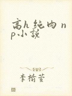 高h 纯肉 np小说