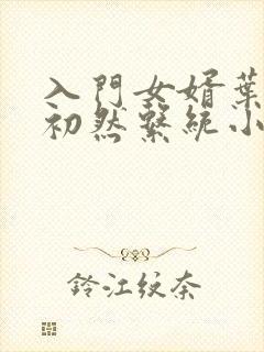 入门女婿叶辰萧初然系统小说