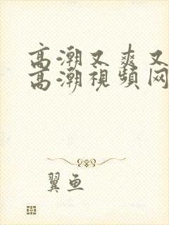 高潮又爽又黄又高潮视频网站