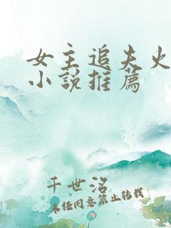 女主追夫火葬场小说推荐