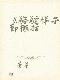 《骆驼祥子》章节概括