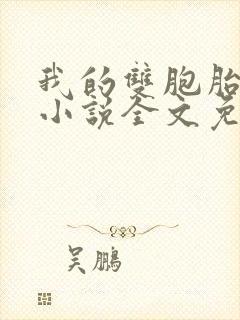 我的双胞胎老婆小说全文免费阅读