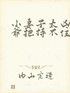 小妻子太凶,陆爷把持不住了00