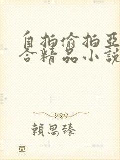 自拍偷拍亚洲综合精品小说