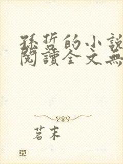 孙哲的小说免费阅读全文无弹窗