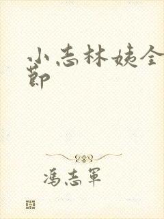 小志林姨全部章节