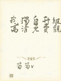 我独自升级动漫高清免费观看