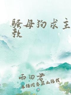 骚母狗求主人调教