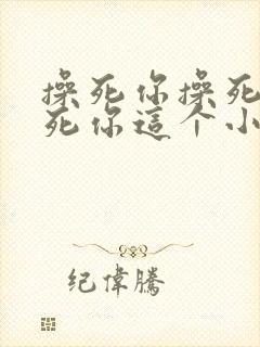 操死你操死你操死你这个小骚货