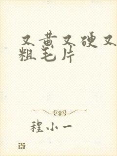 又黄又硬又长又粗毛片