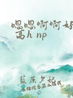 嗯嗯啊啊好爽啊 高h np