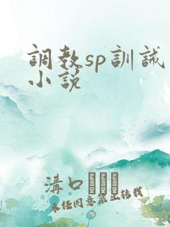 调教sp训诫类小说