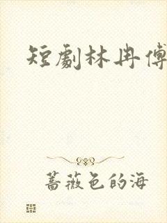 短剧林冉傅行简