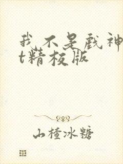 我不是戏神txt精校版