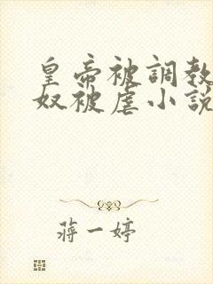 皇帝被调教成贱奴被虐小说