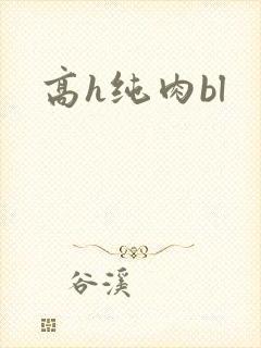 高h纯肉bl