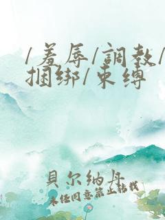 /羞辱/调教/捆绑/束缚