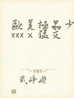 欧美极品少妇xxxxⅹ猛交