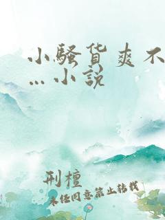 小骚货爽不爽……小说