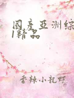 国产亚洲综合91精品