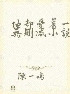 他却爱着一个他无删减小说