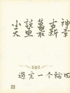 小说万古神帝飞天鱼最新章节列表列表