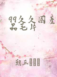 99久久国产精品毛片