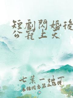 短剧闪婚后被老公宠上天