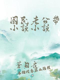 国民老公带回家小说小说