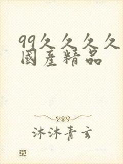 99久久久久久国产精品