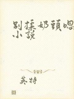 别揉奶头嗯啊的小说