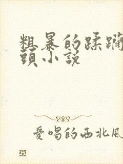 粗暴的蹂躏着奶头小说