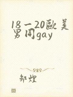 18一20欧美男同gay