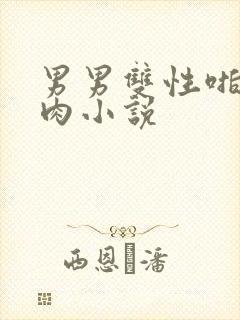 男男双性啪啪纯肉小说