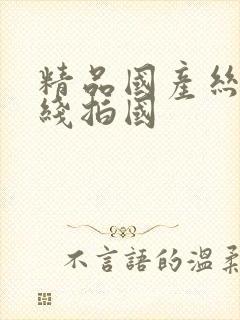 精品国产丝袜在线拍国