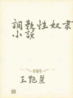 调教性奴隶女m小说