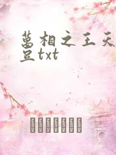 万相之王天蚕土豆txt