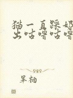 猫一直踩奶还发出咕噜咕噜声音