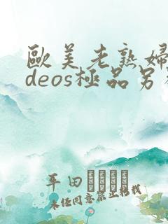 欧美老熟妇videos极品另类