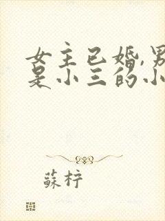 女主已婚,男主是小三的小说