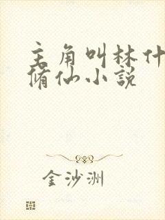 主角叫林什么的修仙小说