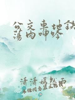 公交车地铁高h荡肉呻吟