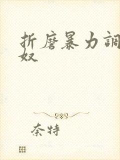 折磨暴力调教男奴