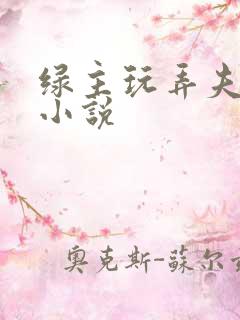 绿主玩弄夫妻奴小说