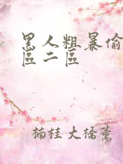 黑人粗暴偷拍一区二区