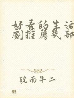 好看的生活电视剧推荐几部前十名